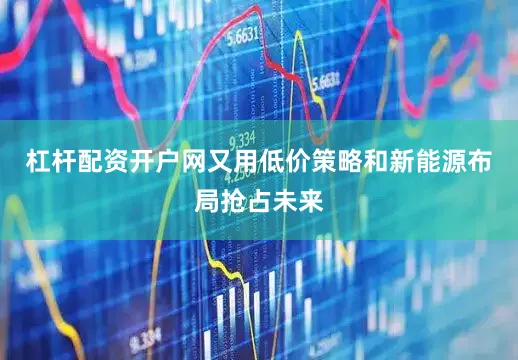 杠杆配资开户网又用低价策略和新能源布局抢占未来
