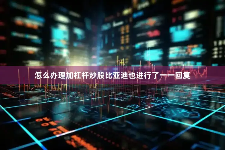 怎么办理加杠杆炒股比亚迪也进行了一一回复