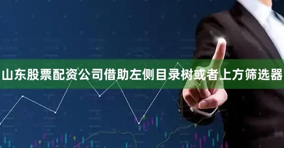 山东股票配资公司借助左侧目录树或者上方筛选器