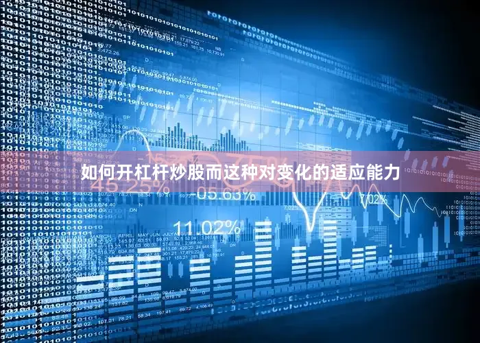 如何开杠杆炒股而这种对变化的适应能力